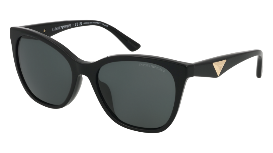 EMPORIO ARMANI 0EA4222U 501787 - Óculos de Sol