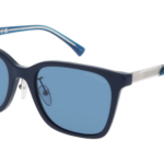 EMPORIO ARMANI 0EA4226D 603980 - Óculos de Sol