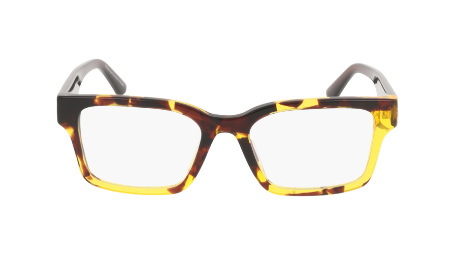 EMPORIO ARMANI 0EA3245U 6181 - Óculos