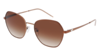 EMPORIO ARMANI 0EA2161 30018G EMPORIO ARMANI 0EA2161 30018G - Óculos de Sol