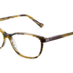 5 BAVIER 54O BRYW - Óculos