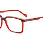 5 DIEGO 56O BKRD - Óculos