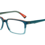 5 GAVIA 56O PTOG - Óculos