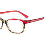 5 HALLE 52O HVRD - Óculos