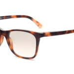 5 MONTSIO HVBE - Óculos de Sol