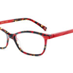 5 QUINCY 52O HVRD - Óculos