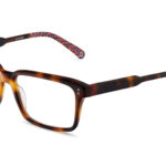 5 SAGARO 56O HVRD - Óculos