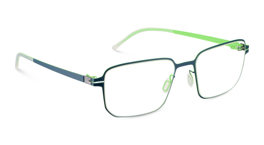 6 ROVER 55O PTGR - Óculos