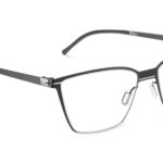 6 SLAB 53O BK - Óculos