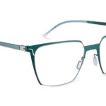 6 STELLA 54O GR - Óculos