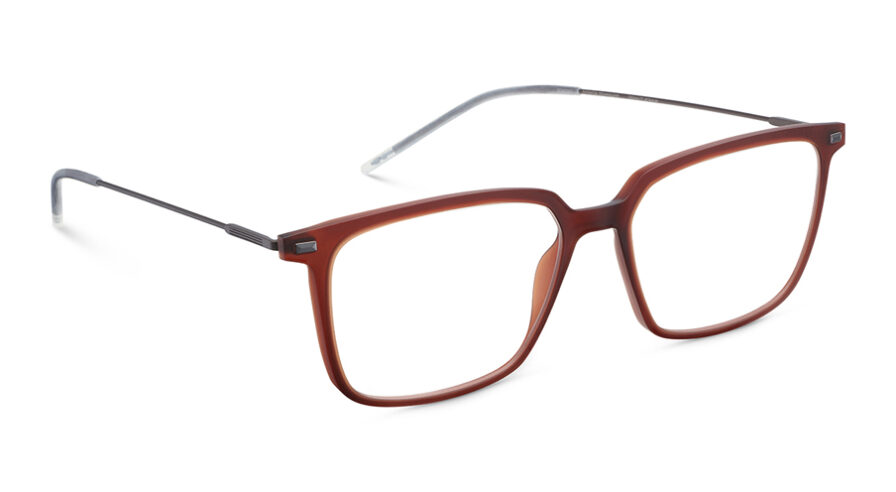 9 CASTOR 54O BR - Óculos