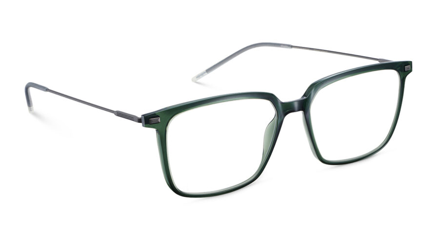 9 CASTOR 54O DGGM - Óculos