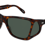 PERSOL 0PO0009 24/31 - Óculos de Sol