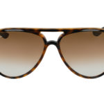 RAY-BAN CATS 5000 0RB4125 710/51 - Óculos de Sol