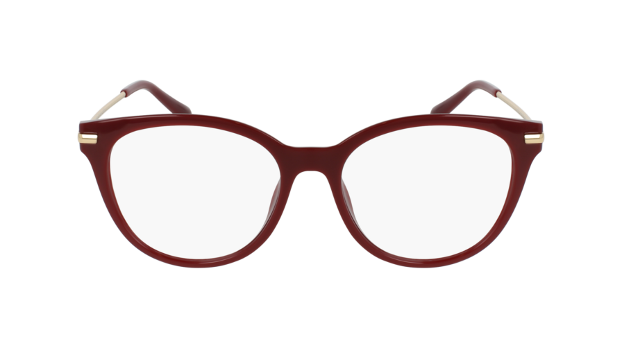 MICHAEL KORS TORTOLA 0MK4135U 4004 - Óculos