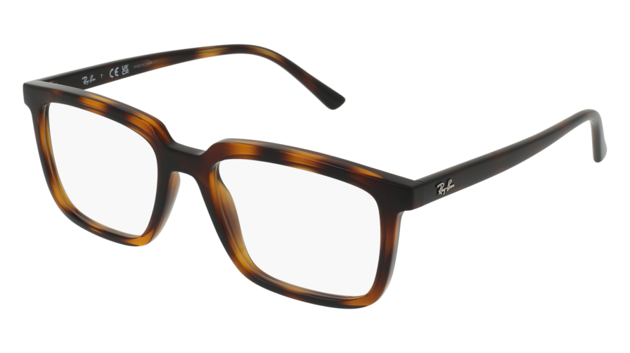 RAY-BAN ALAIN 0RX7239 2012 - Óculos