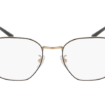 RAY-BAN  0RX8777D 1250 - Óculos