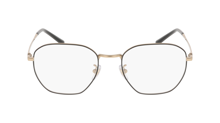 RAY-BAN  0RX8777D 1250 - Óculos