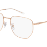 RAY-BAN  0RX8776D 1248 - Óculos