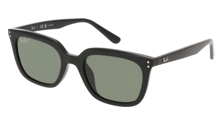RAY-BAN  0RB4439D 901/9A - Óculos de Sol