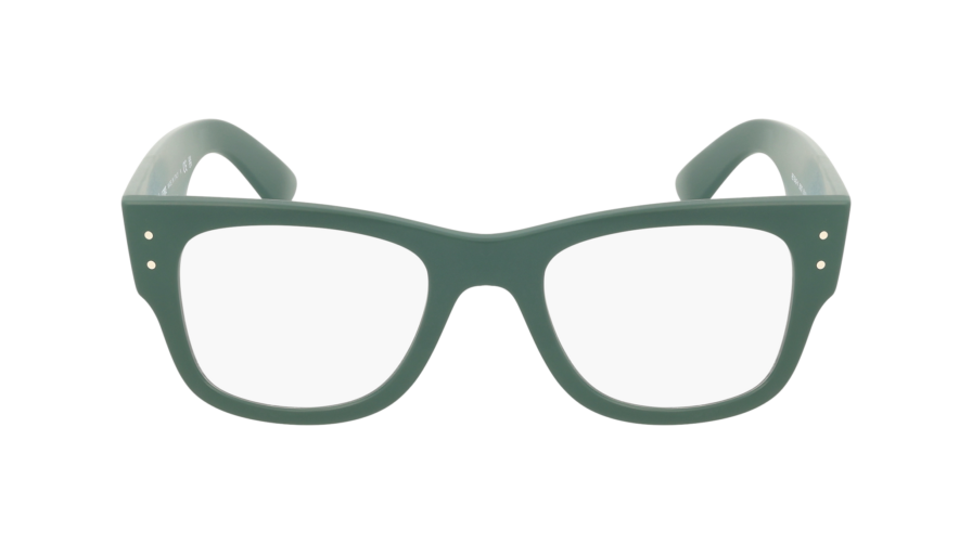 RAY-BAN  0RX7840V 8062 - Óculos