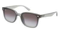 RAY-BAN 0RB4461D 601/80 RAY-BAN 0RB4461D 601/80 - Óculos de Sol