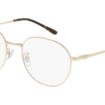 RAY-BAN  0RX8778D 1251 - Óculos