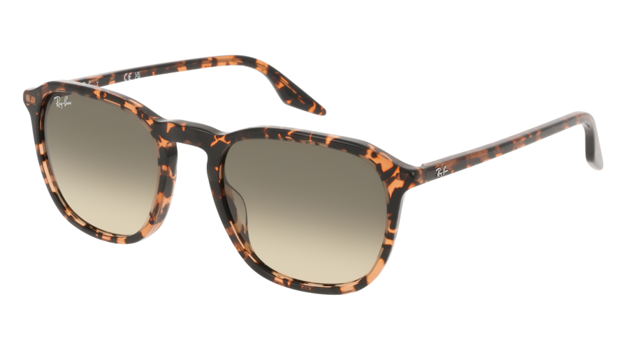 RAY-BAN  0RB2203 14290A - Óculos de Sol