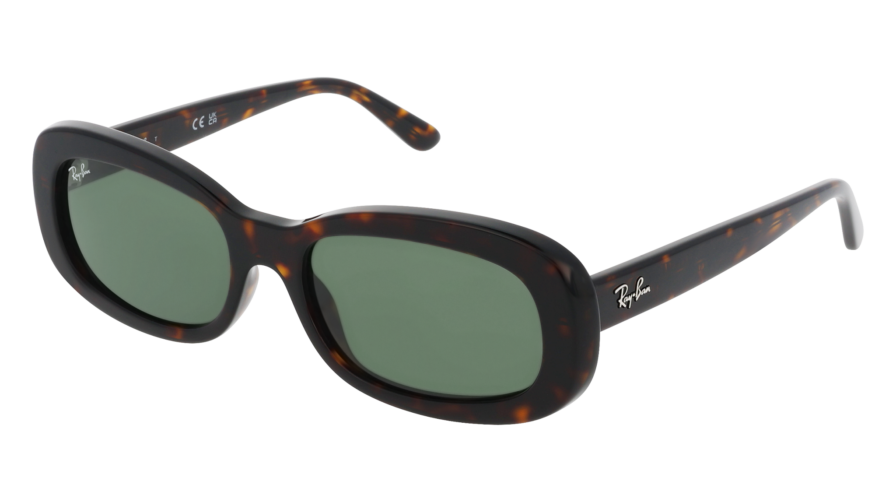 RAY-BAN  0RB2221 902/31 - Óculos de Sol