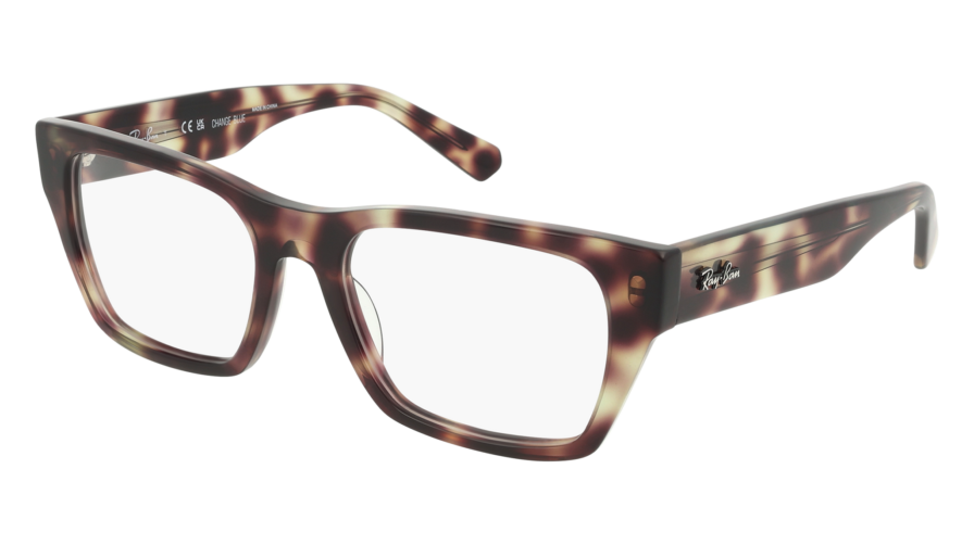 RAY-BAN  0RX5448 8458 - Óculos