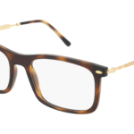RAY-BAN  0RX7260 2012 - Óculos