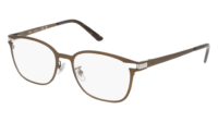 RAY-BAN 0RX8780D 1020