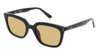 RAY-BAN  0RB4439D 901/73