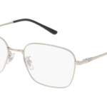 RAY-BAN  0RX8784D 1002 - Óculos