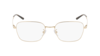 RAY-BAN 0RX8784D 1251