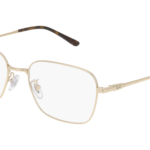 RAY-BAN  0RX8784D 1251 - Óculos