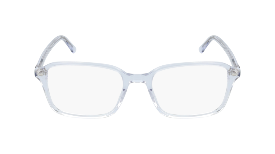 RAY-BAN RAIMOND 0RX5431 2001 - Óculos