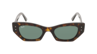 RAY-BAN  0RB4439D 901/73 - Óculos de Sol