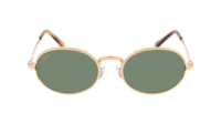 RAY-BAN 0RB3931 001/31