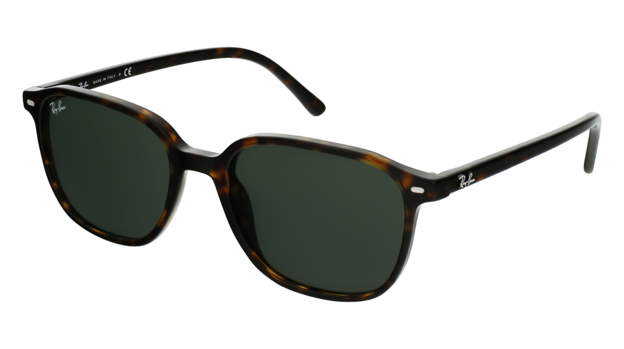 RAY-BAN LEONARD 0RB2193 902/31 - Óculos de Sol