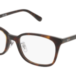 RAY-BAN  0RX5407D 2012 - Óculos