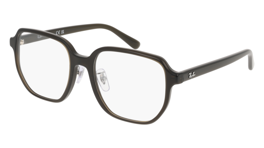 RAY-BAN  0RX5424D 8218 - Óculos