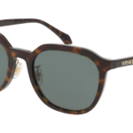 VERSACE 0VE4493D 108/87 - Óculos de Sol